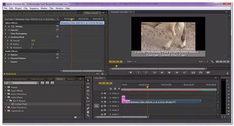 Mosaic Removed! 2 Easy Ways to Remove Mosaic Blur from Video.
